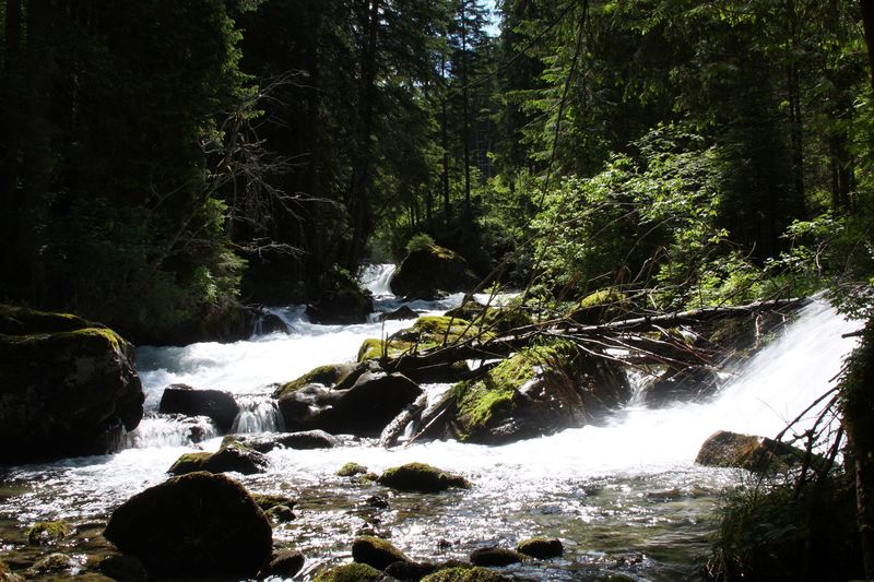 Datei:Untertalbach 2162 2009-05-29.jpg