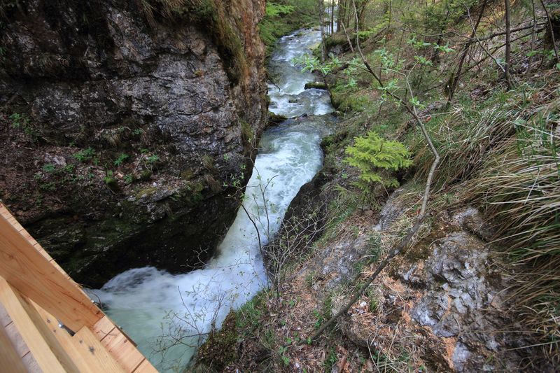 Datei:Wasserlochklamm palfau 70267 2018-04-23.jpg
