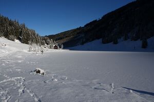 Bodensee 26507 2014-01-01.jpg