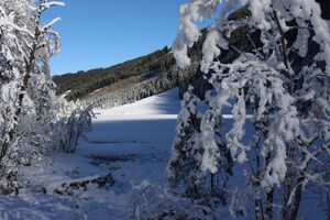 Bodensee 26627 2014-01-01.jpg