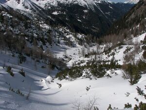 Eiskar elendberg 2167 2007-03-12.jpg