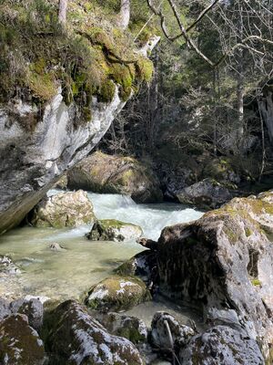 Grimmingbach-klachau 3219.jpg