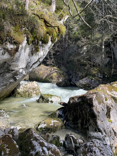 Datei:Grimmingbach-klachau 3219.jpg