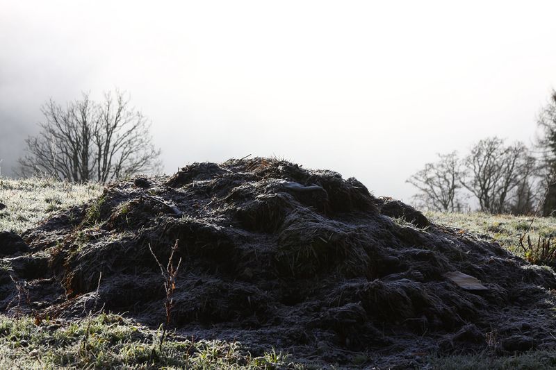 Datei:Halseralm-rittis 80023 2014-12-05.jpg