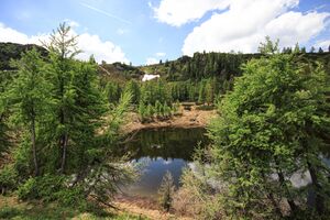 Landschaftsteich Reiteralm-13-2019-06-18.jpg