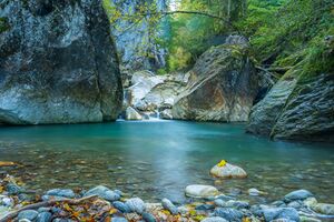 Manuel Capellari CAP19101207181.jpg