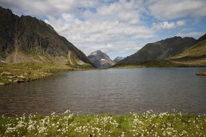 Oberer lanschitzsee 98117 2011-08-12.jpg