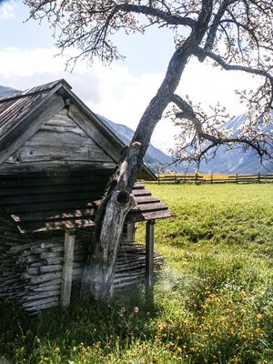 Rohrmooser Frei-1003-2004-05-24.jpg