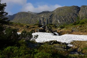 Sabinkar 89918 2015-06-08.jpg