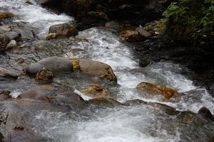Teufelsschlucht Seewigtal 73336 2014-10-02.jpg