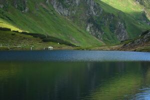 Untere riednersee 65379 2014-06-26.jpg