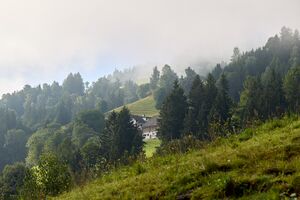 Vlg riesner schattenberg-0061-2023-08-11.jpg