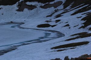 Augstsee loser 50324 2017-06-11.jpg