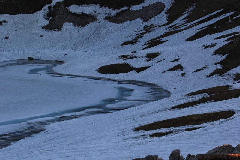 Datei:Augstsee loser 50324 2017-06-11.jpg