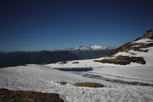 Augstsee loser 50330 2017-06-11.jpg