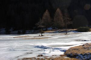 Duisitzkarsee 14338 2011-11-30.jpg