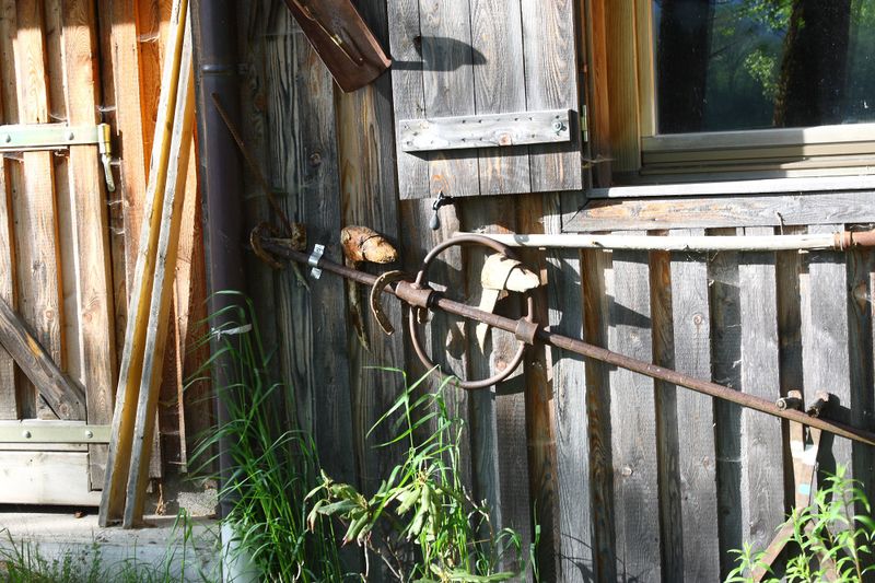 Datei:Enns-Altarme Niederstuttern 58381 2014-05-21.jpg