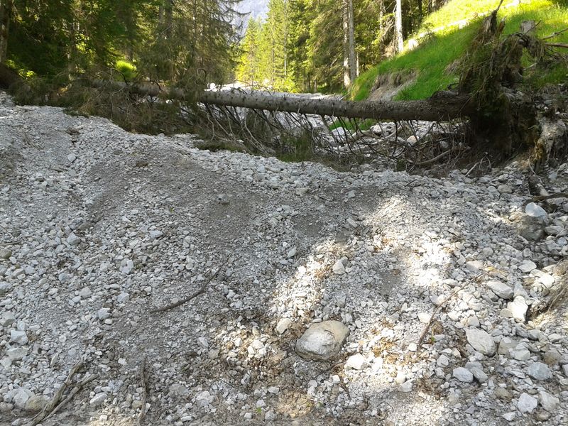 Datei:Geröllrinne Gofergraben 1.jpg