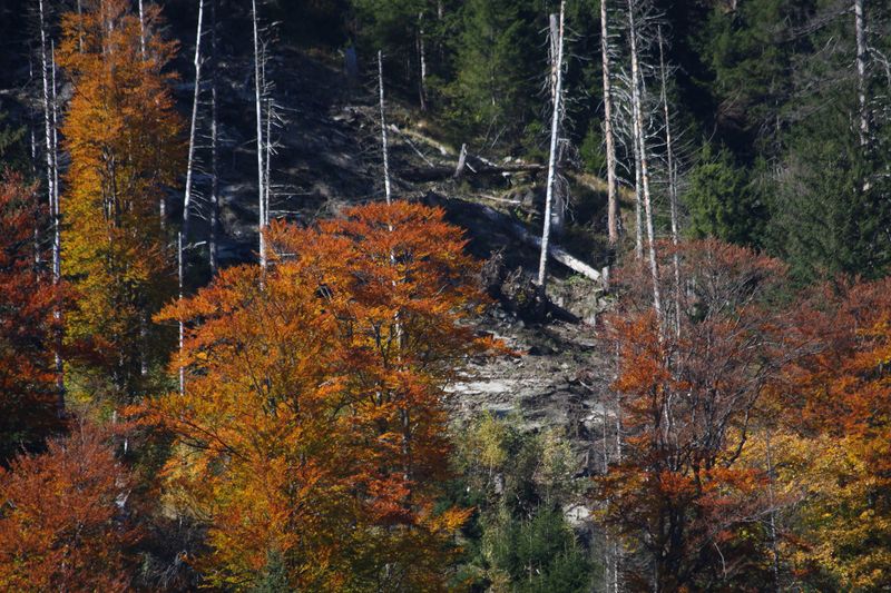 Datei:Kleinsölk 0612 2010-10-09.jpg