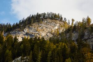 Mitterwand -öderntal 20-05-07 1137.jpg