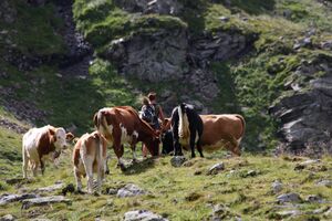 Oberer lanschitzsee 98115 2011-08-12.jpg