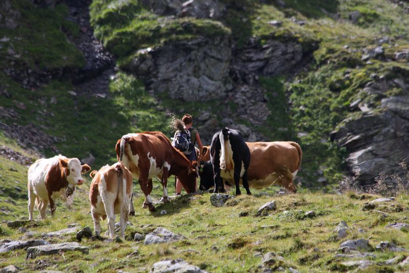 Datei:Oberer lanschitzsee 98115 2011-08-12.jpg