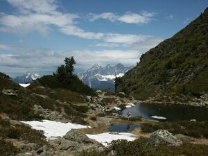 Obersee 5955 2004-06-27.jpg