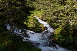 Obertalbach 25098 2009-06-17.jpg