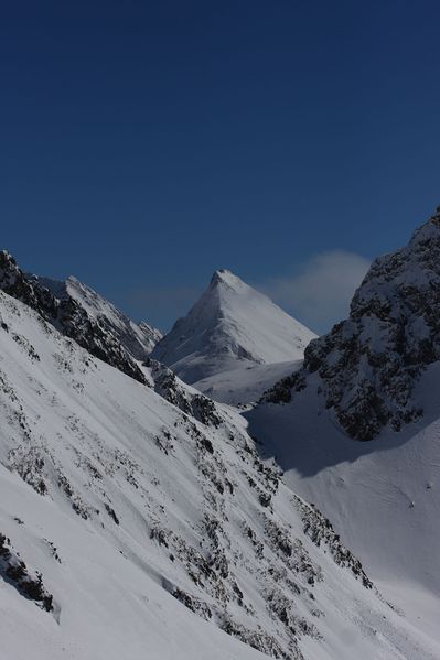 Datei:Süßleiteck, hasenohrscharte 19803 2016-03-17.jpg