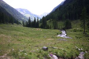 Strieglerbach 44704 2013-07-13.jpg