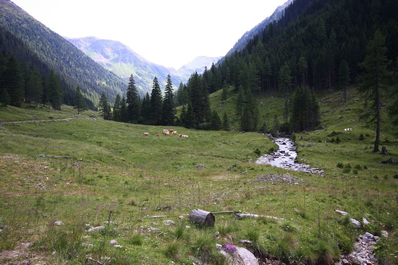 Datei:Strieglerbach 44704 2013-07-13.jpg