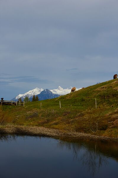 Datei:Stubeggsattel-0162-2021-05-24 07.38.38.jpg