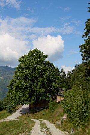 Vlg Hochberger-0573-2023-06-14.jpg