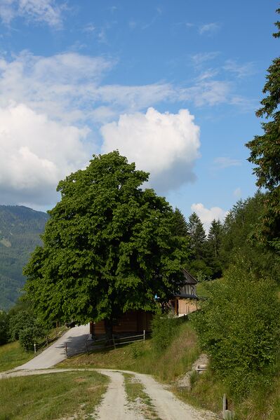 Datei:Vlg Hochberger-0573-2023-06-14.jpg