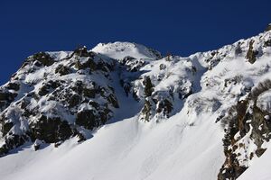 Wildkar 45002 2014-03-09.jpg