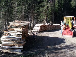 2011-11-19 13.16.30.jpg