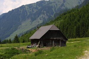 Beireutalm 90058 2015-06-08.jpg