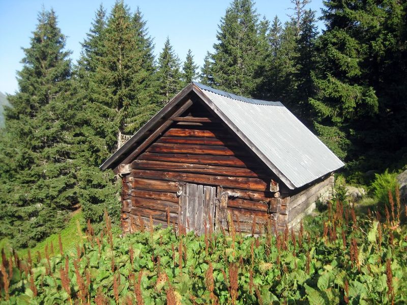 Datei:Brandalm Riesach002.jpg