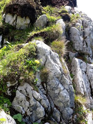 Großer Donnerkogel150189.JPG