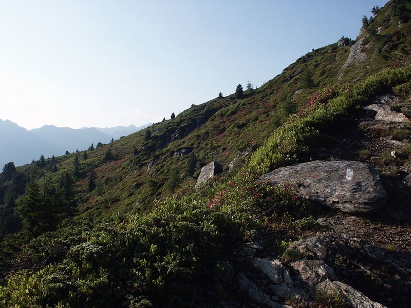 Datei:Guschen 2434 2002-06-26.jpg