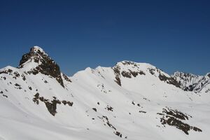 Kübel -hw pietrach 03414 2008-04-14.jpg