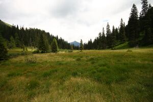 Knallkar großsölk 55659 2016-08-17.jpg