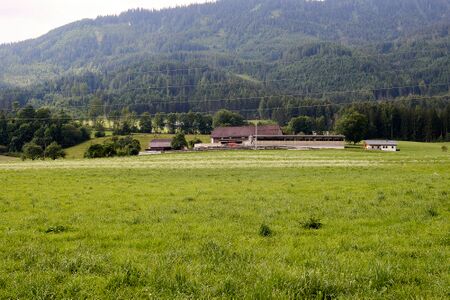 Lemmerer vlg Nikelhuber-0460-2023-06-16.jpg