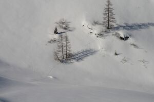 Moaralmsee 2071 2008-02-16.jpg