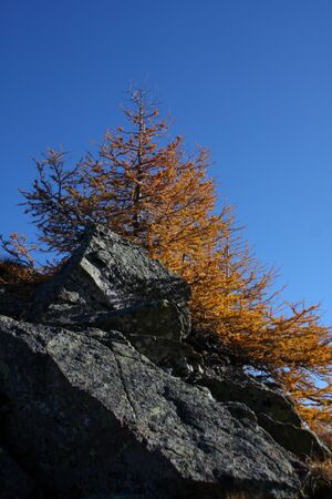 Murspitzsattel 38427 2011-10-31.jpg