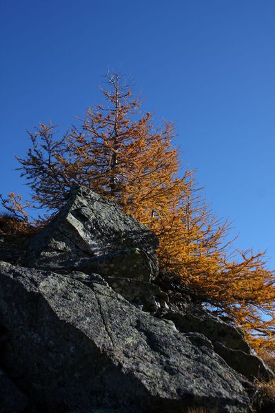 Datei:Murspitzsattel 38427 2011-10-31.jpg