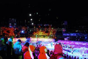 Ski WM 2013 Schladming Eroeffnung 080.jpg