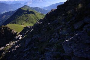 Spateck 94983 2015-07-11.jpg