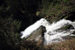 Tauplitzer wasserfall 66656 2017-10-31.jpg