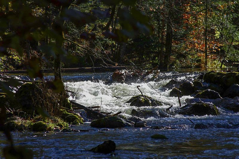 Datei:Toplitzbach 77681 2014-11-03.jpg